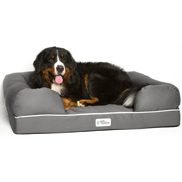 Ohlman Dog Bed & Lounge with Orthopedic Memory Foam Bolster